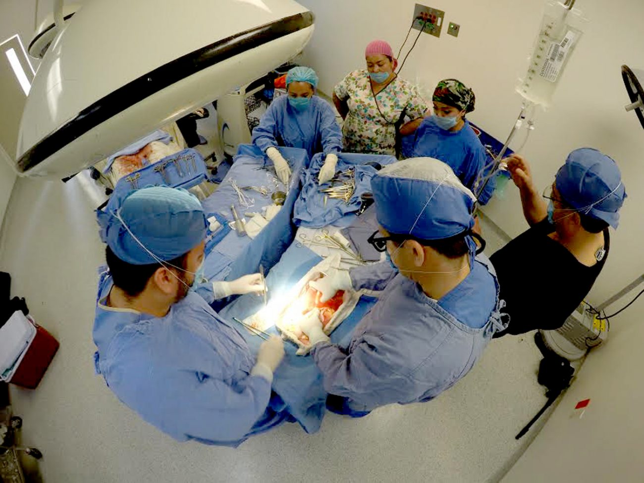 imss-1