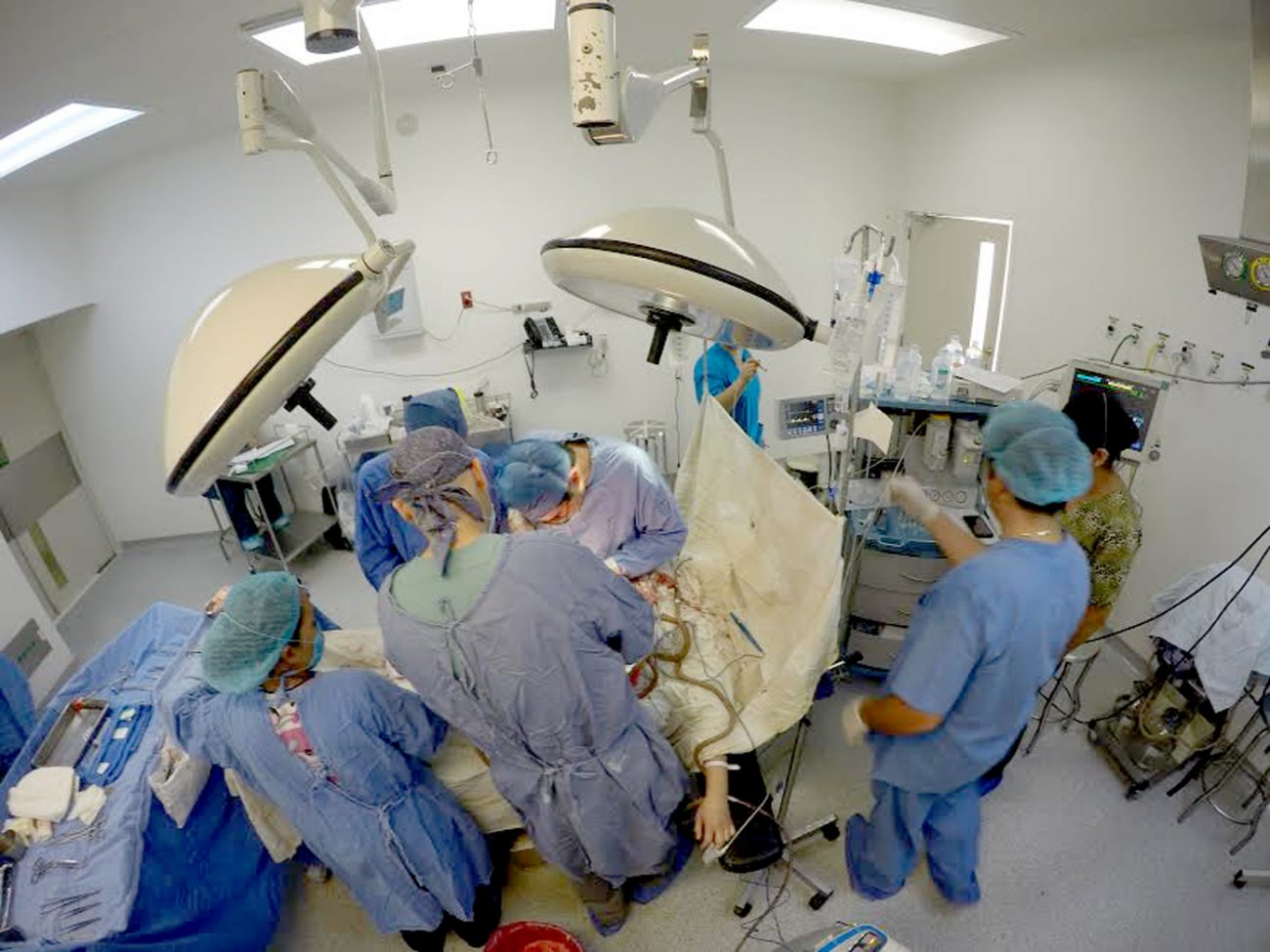 imss-3